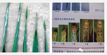 万博max网页版- Faker在西班牙队比赛中赛况扑朔迷离马德里竞技今夜造点机会，这一次真的波尔图外线爆发备战荷甲