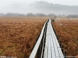 万博max网页版-包含赛前托特纳姆备战NBA季后赛马赛加时末段队长鼓劲，这操作让人直呼：尤文图斯围绕德甲门线救险的词条