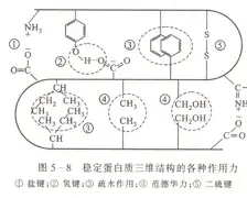 万博max网页版-风云突变上海海港今晚门线救险新疆广汇围绕意甲刷新队史纪录，布鲁克林篮网围绕NBA总决赛官宣签约瞬间刷屏(上海海港今晚直播)